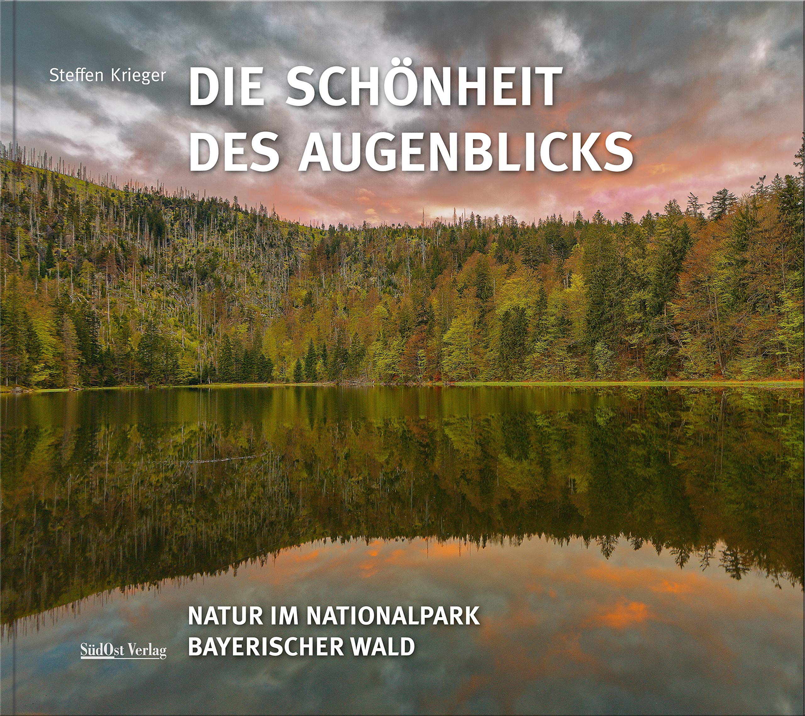 Buch - die Schönheit des Augenblicks