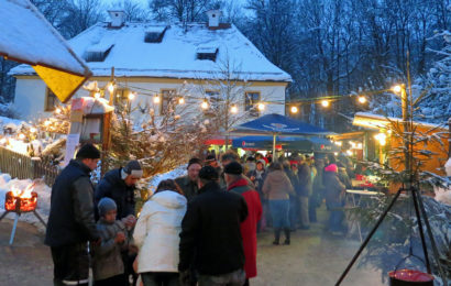 11. Forstlicher Weihnachtsmarkt am Stadtforstamt