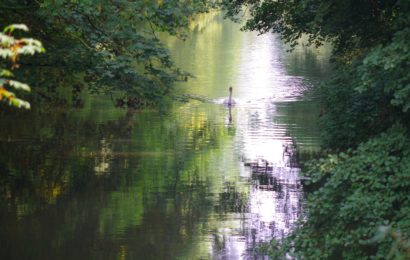 Verbotswidriges sogenanntes Magnetfischen im Regenfluss