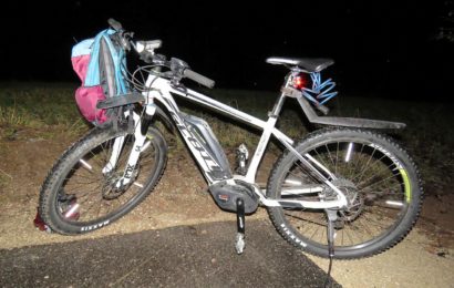 Radfahrer wird von querendem Reh zu Fall gebracht