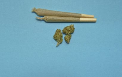 Fertiger Joint und Marihuana aufgefunden