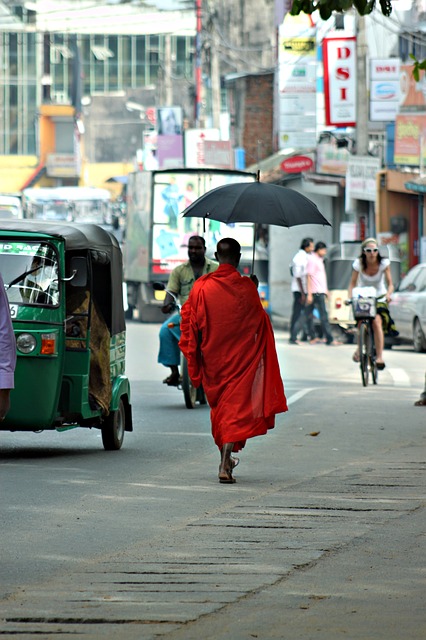 Buddhistischer Mönch