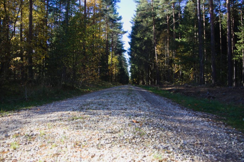 Waldweg