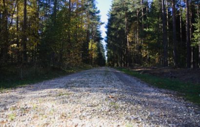 Waldweg als Ausweichstrecke