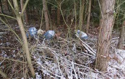 Müllsäcke am Waldrand entsorgt