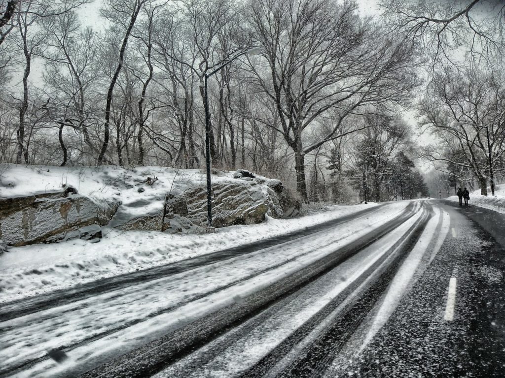 Baum Winter