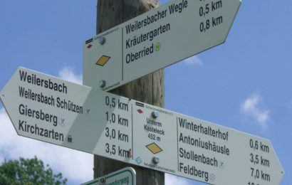 Sachbeschädigungen in Nabburg und Wernberg-Köblitz