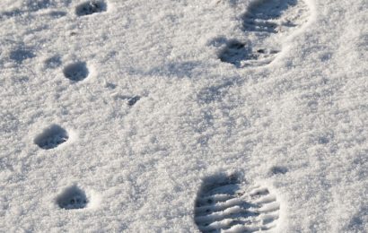 Mehrere Anwesen ausbaldowert