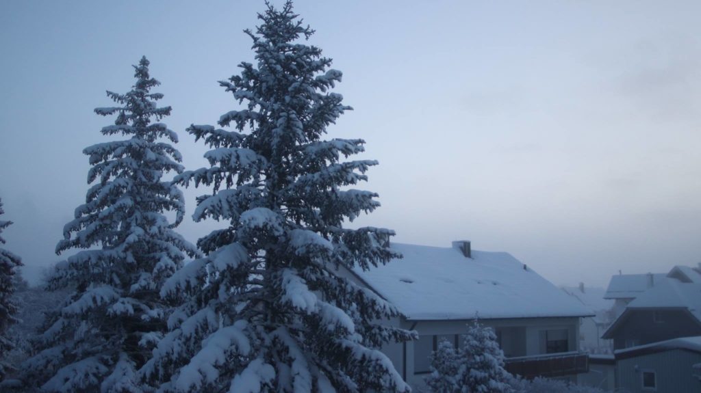 Schnee auf Bäumen