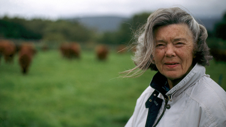 Rosamunde Pilcher Copyright: ZDF/Martin Bosboom