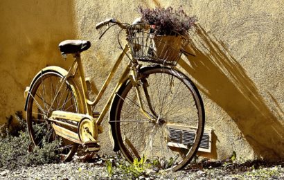 Fahrraddiebstähle in NEW