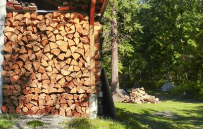 Brennholz aus Garten gestohlen