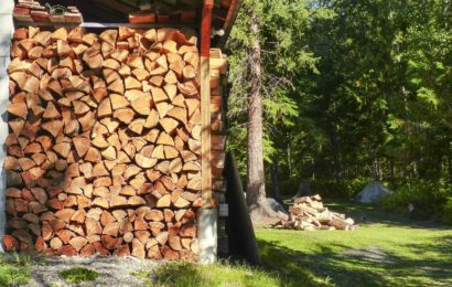 Holzdiebstahl im Bereich Königstein