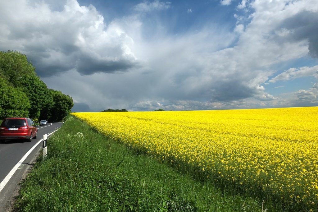 Strasse / Raps / Wolken