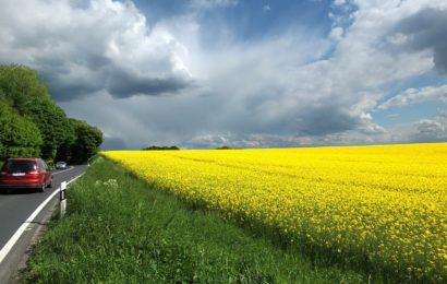 Strasse / Raps / Wolken