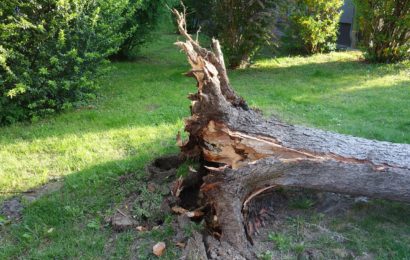 Brennholz in Bruck gestohlen