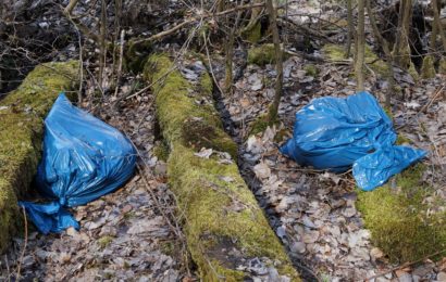 Müllablagerung in einem Wald bei Tremmersdorf