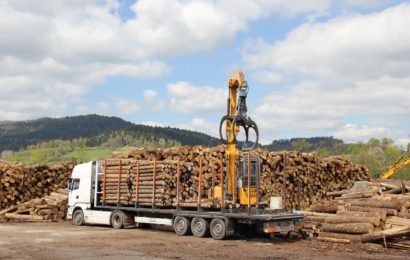 Holzlaster rutscht bei Leonberg in den Straßengraben