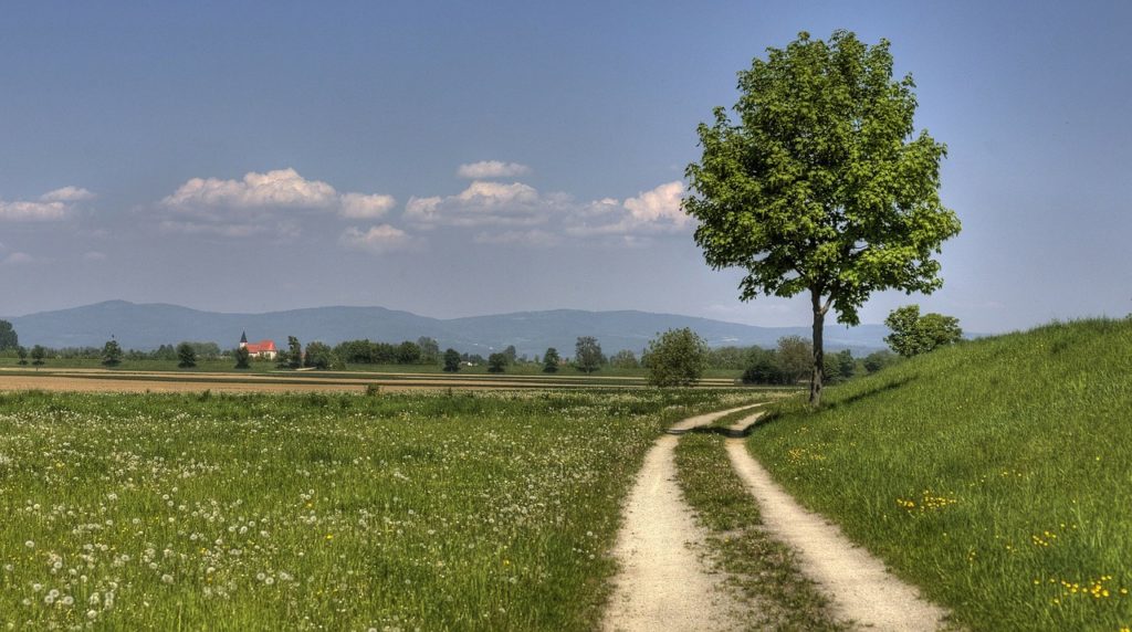 Bayerischer Wald / Feldweg Symbolbild Pixabay