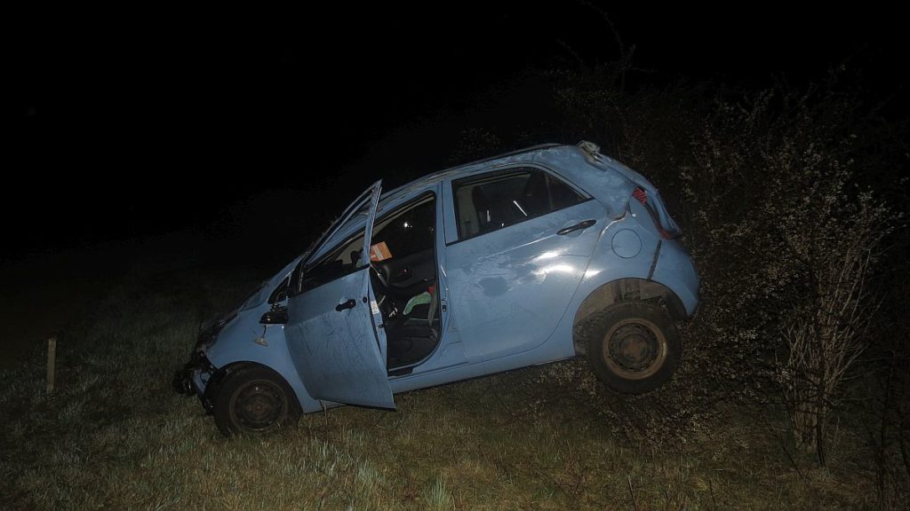 Dreimal überschlagen nach dem Ausweichen Foto: Polizei