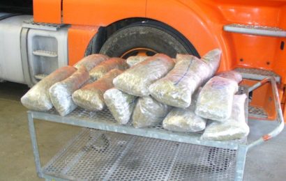 SIchergestelltes Marihuana Bild: Bundeszollverwaltung