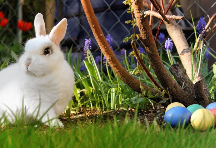 Polizei kontrolliert am Osterwochenende