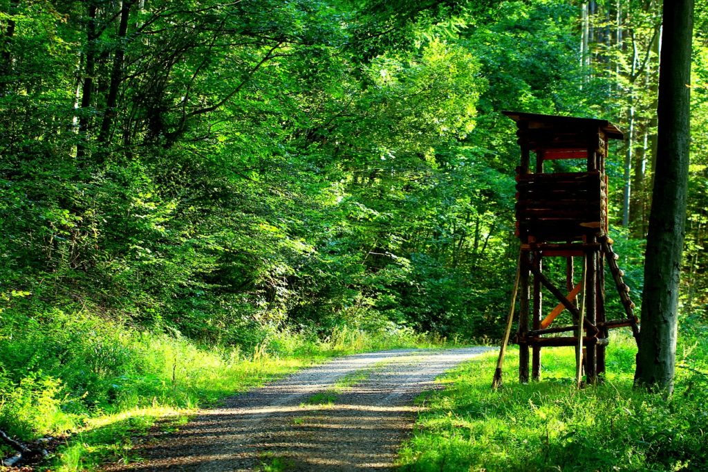 Hochsitz im Wald (Symbolfoto Pixabay)