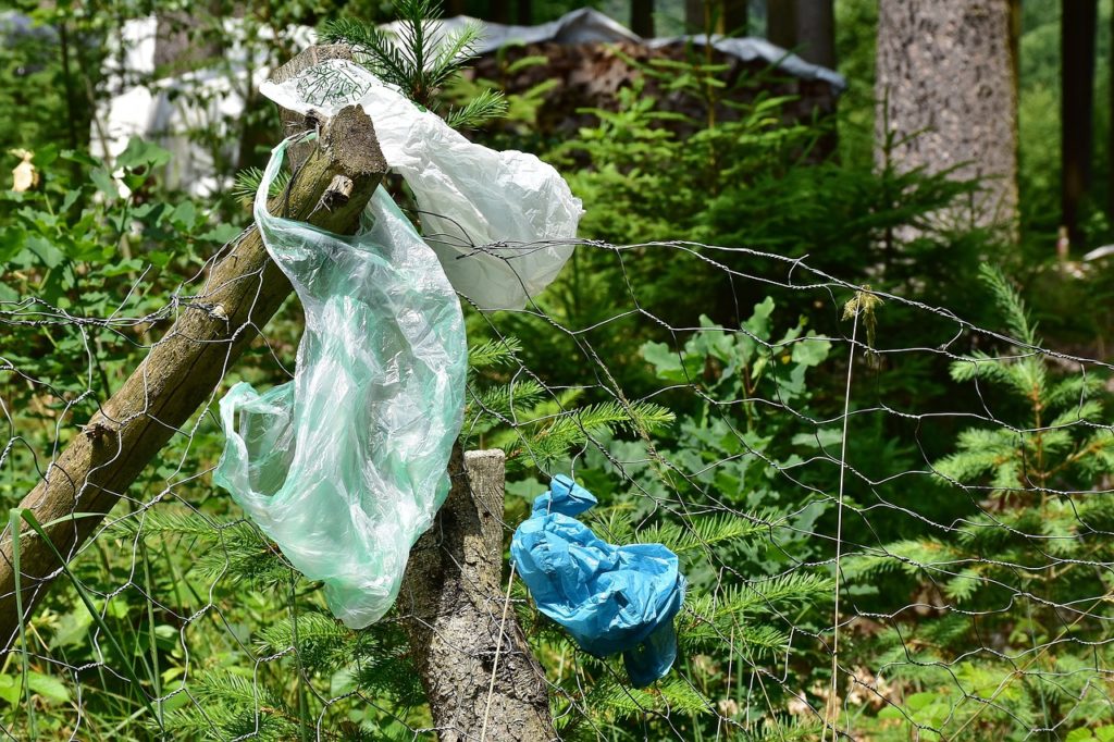 Müllentsorgung im Wald (Symbolbild Pixabay)