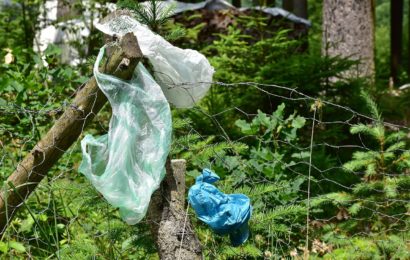 Ilegale Müllentsorgung in Schwandorf