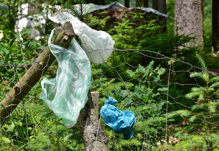 Illegale Müllentsorgung bei Regenstauf