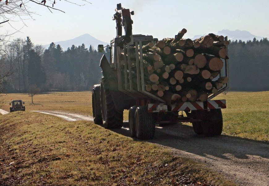 Bei Auffahrunfall leicht verletzt