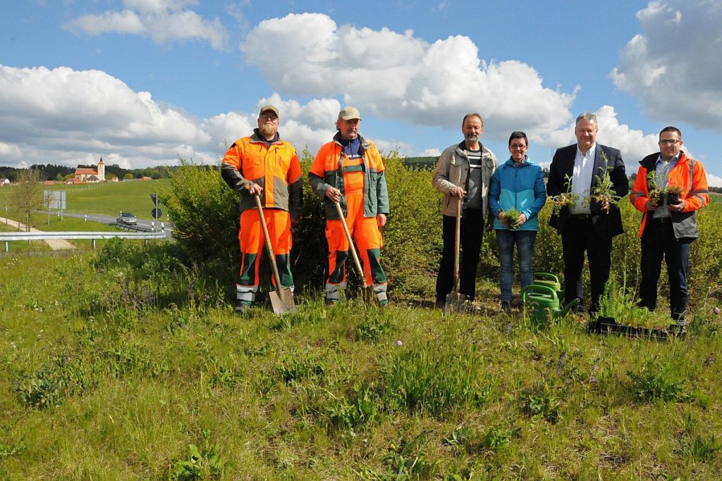 v.li.: Andreas Bogner, Josef Landshammer (Kreisgärtner Amberg-Sulzbach), Albert Meyer (Gartenbauverein Ehenfeld), Michaela  Basler (Kreisfachberaterin für Gartenbau), Landrat Richard Reisinger und Matthias Kolb (Tiefbau Amberg-Sulzbach) Foto: Christine Hollederer