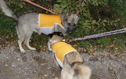 Personensuche in Schnaittenbach