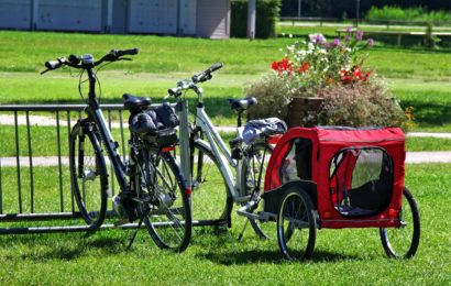 Diebstahl eines Fahrradjoggers in Vilseck