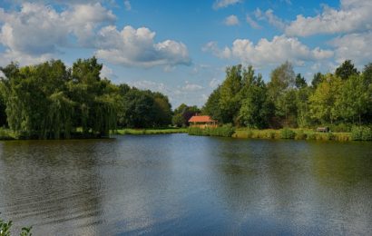 Ölspur verschmutzt Hirschweiher