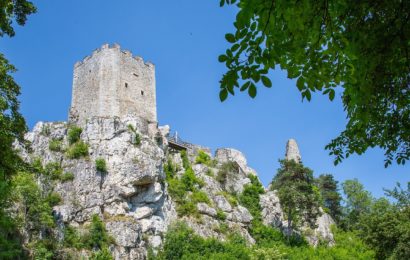 Suchaktion bei Burgruine