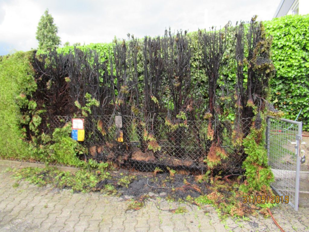 Abgefackelte Hecke in Amberg Foto: Polizei