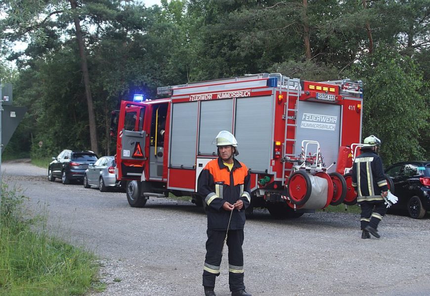 Unfallflucht auf der St2166  bei Letzau