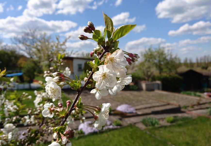 Vandalismus in Schrebergarten