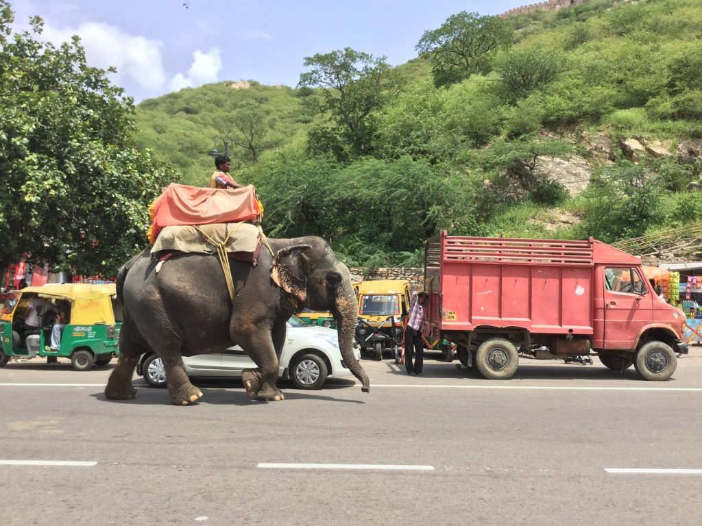 In Indien vielleicht üblich, in Cham wohl eher nicht! (Symbolbild)