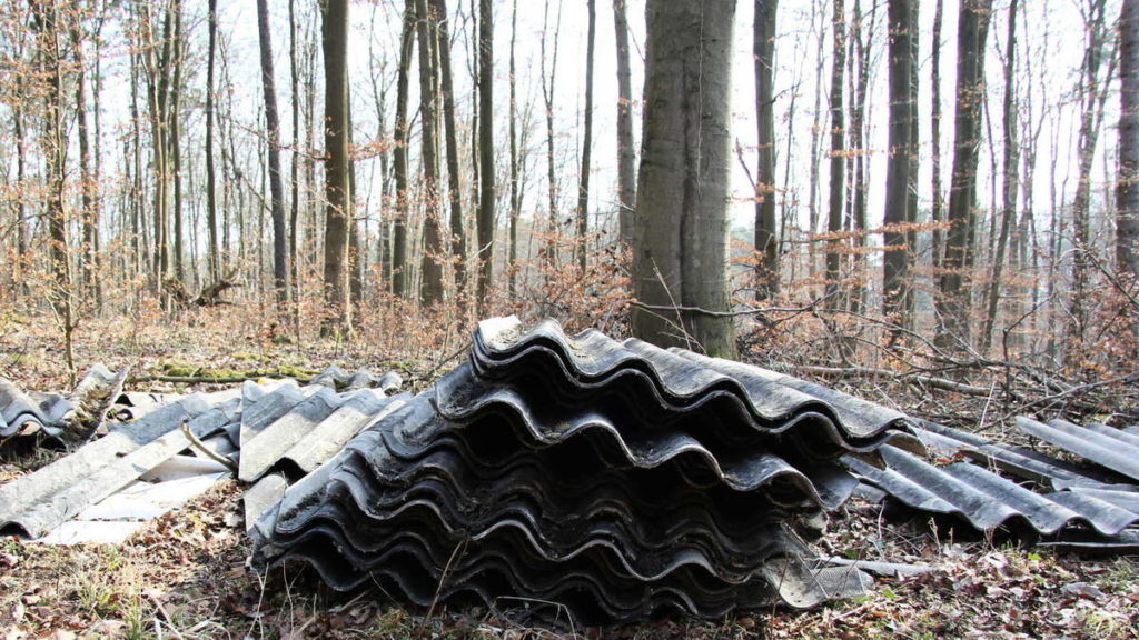 Im Wald entsorgte Eternitplatten (Symbolbild)