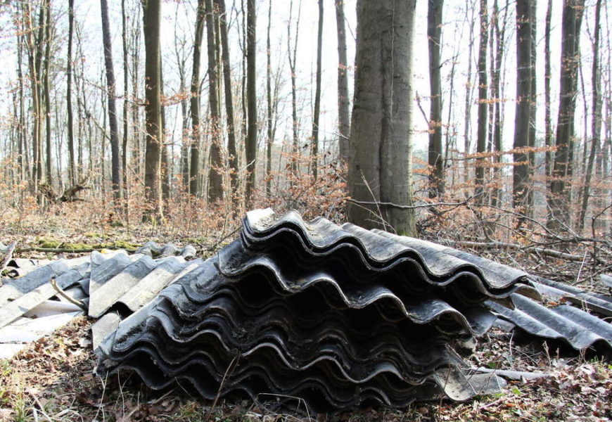 Müllablagerung am Badesee Dießfurt