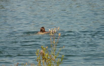 Vermisstensuche im Murner See