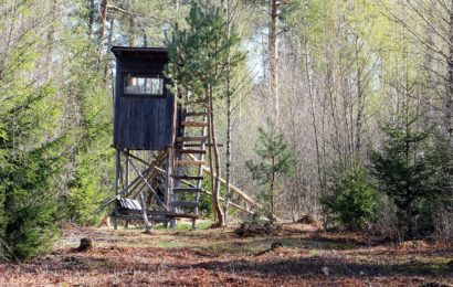 Unbekannter sägt Stützpfosten eines Hochsitzes bei Kirchenthumbach durch