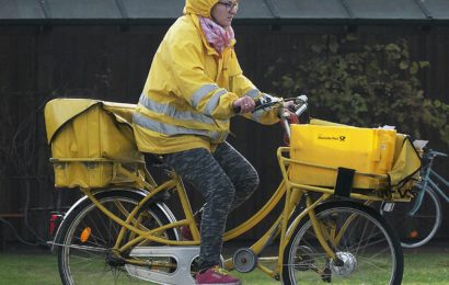 Hund beißt Paketzusteller