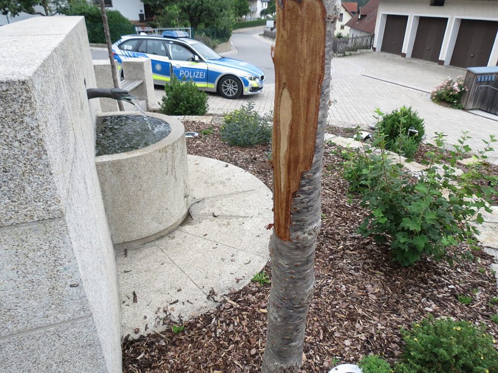 "Schnitzkunst am Baum" in Ammerthal Foto: Polizei