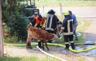 Stallbrand geht glimpflich aus