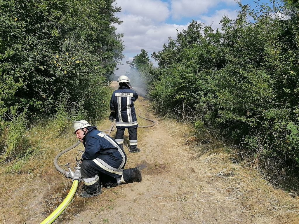 Brand am Bahndamm bei Hiltersdorf Foto: Pressedienst Wagner