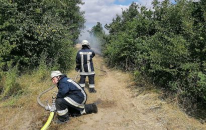 Sachbeschädigung durch Brandlegung