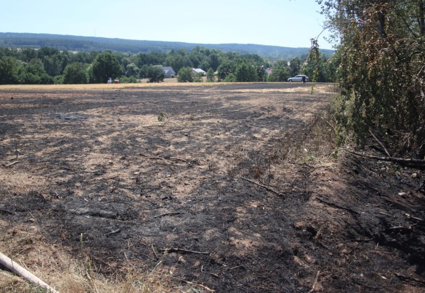 Brand eines Getreidefeldes bei Drescharbeiten